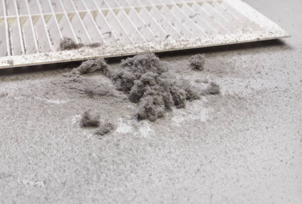 Best Air Vent Cleaning Services  in Merton, WI