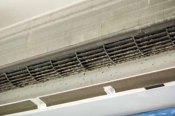 Best Residential Air Duct Cleaning  in Merton, WI