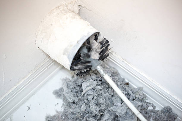 Best Professional Duct Cleaning Services  in Merton, WI